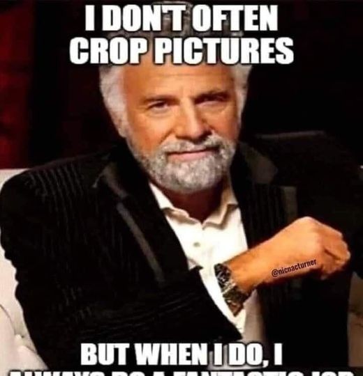 Posted media