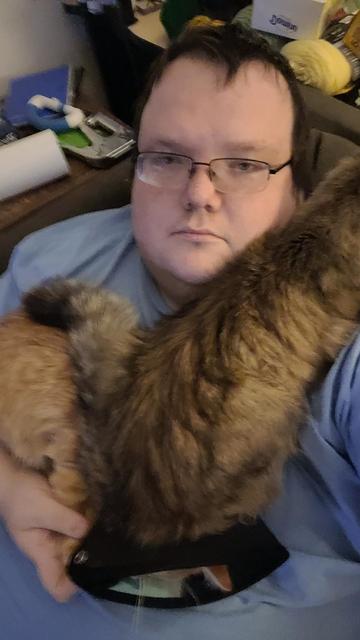 My two cats, chuchu and cheese, have decided I am a bed.