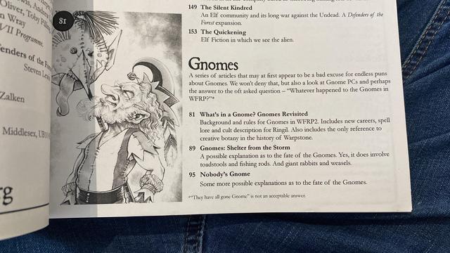 Inside page of the magazine highlighting the sections on Gnomes. 