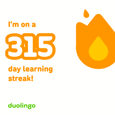 Duolingo day 315