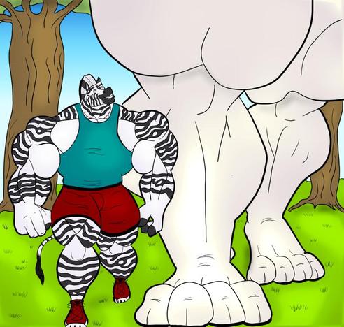 A muscular zebra wearing a teal tank top and maroon shorts walks with a giant white lion.