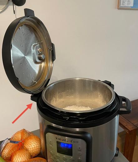 InstantPot 