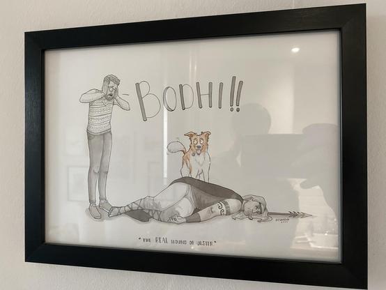 A gift from a pal was a commission with Ciaraioch. I decided my big lump of a dog at the time could do with his 15 minutes. Scene is Bodhi standing triumphant over, Cu Chulainn, a mythical Irish character who he’s slain. Piece is called “The Real Hound of Ulster”. To the side is a caricature of me in a knitted tank top (which is a real thing I own, knitted many times over the years for me by my Nan). Can’t tell you how much this piece means to me. 

Bodhi is an ex-Romanian Stray who ended up in Glasgow fostered by a Monaghan woman who I had never met, but on adopting the big lump of a - we realised we were from the same town. Figured despite never being to Ireland - Bodhi had found his people. Annoyingly for me, we’d to rehome Bodhi after we found out we had a small person on the way - and Bodhi unbeknownst to us at the time of adoption had some big old behavioural issues. Despite lots of work with him and him coming on miles - he’s the best dug, but just needed some love, it wasn’t going to be safe around little people. Somehow, stars aligned and a neighbour (also Irish) had just lost their dog and we ended up talking and they asked if they could adopt Bodhi. So, notwithstanding me crying loads and not really processing passing my pal terribly well at the time - all turned out really well. Still see the lump and maybe because his owners feed him whole chickens he doesn’t seem too mad and still gallops over to say hi. 