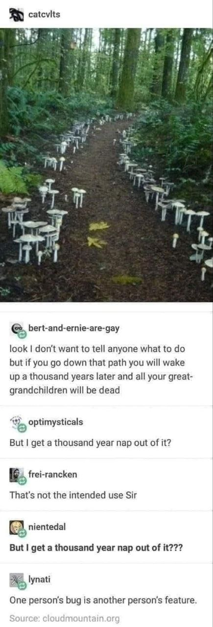 Screenshot of a post that begins with an image of a dirt path lined by white mushrooms that leads off into a verdant (obviously magical) forest that is captioned by bert-and-ernie-are-gay with:
Look I don't want to tell anyone what to do but if you go down that path you will wake up a thousand years later and all your great-grandchildren will be dead
optimysticals replied with: But I get a thousand year nap out of it?
reply from frei-rancken: That's not the intended use Sir
reply from nientedal (in bold text): But I get a thousand year nap out of it???
to which lynati replies: One person's bug is another person's feature. Screenshot of a post that begins with an image of a dirt path lined by white mushrooms that leads off into a verdant (obviously magical) forest that is captioned by bert-and-ernie-are-gay with:
Look I don't want to tell anyone what to do but if you go down that path you will wake up a thousand years later and all your great-grandchildren will be dead
optimysticals replied with: But I get a thousand year nap out of it?
reply from frei-rancken: That's not the intended use Sir
reply from nientedal (in bold text): But I get a thousand year nap out of it???
to which lynati replies: One person's bug is another person's feature.