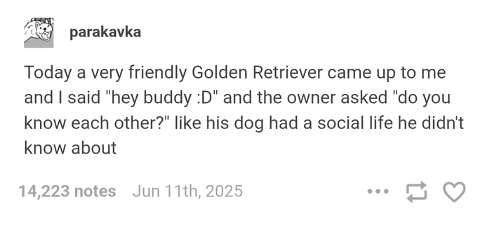A screenshot of a Tumblr post from user "parakavka," reading: 

"Today a very friendly Golden Retriever came up to me and I said "hey buddy :D" and the owner asked "do you know each other?" like his dog had a social life he didn't know about"