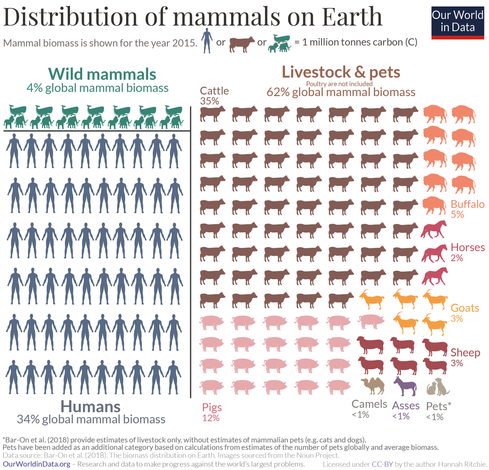 An infographic breaking down the distribution of mammalian biomass (2015 figures):

Wild animals 4%

Humans 34%

Livestock and pets 62%, comprising:
Cattle 35%
Pigs 12%
Buffalo 5%
Sheep 3%
Goats 3%
Horses 2%
Camels, asses, and pets less than 1% each