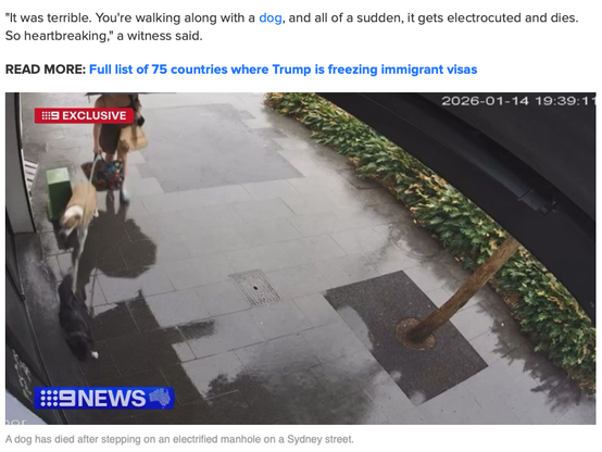 "It was terrible. You're walking along with a dog, and all of a sudden, it gets electrocuted and dies.
So heartbreaking," a witness said.

READ MORE: Full list of 75 countries where Trump is freezing immigrant visas

[A CCTV screen capture shows a woman—from the shoulders down—walking two dogs. A timestamp in one corner shows the time and date: 14 January 2026, at 19:39. Watermarks have been overlaid: “9 Exclusive” and “9News,” the latter with a map of Australia. The caption beneath the screen …