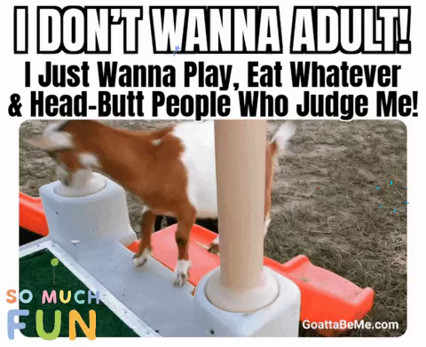A goat slides down a short, plastic children’s slide, jumps off at the bottom, and affectionately headbutts another goat.

Caption: “I don’t wanna adult! I just wanna play, eat whatever, and head-butt people who judge me!”