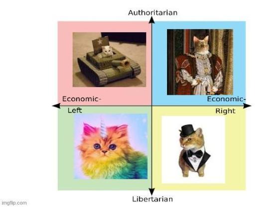 A “Political Compass”-style dual-axis graph of political positions. The y-axis (vertical) is Authoritarian (at the top) vs Libertarian (at the bottom; the x-axis (horizontal) is Economic Left vs Economic Right.

In each quadrant is an image of a cat.

The top left (Authoritarian/Economic Left) shows a cat sitting in a cardboard tank—as in the armoured fighting vehicle.

The top right (Authoritarian/Economic Right) shows an anthropomorphic cat in Tudor-style puffed robes.

The bottom right (Libe…