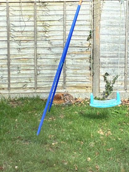 A very sleepy fox behind a swing.