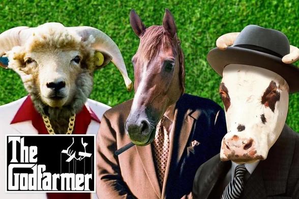 A photo composite showing an anthropomorphic ram in a red shirt and white jacket, wearing a heavy gold chain; a horse in a brown suit smoking a cigar; and a cow wearing a grey suit, tie, and homburg.

In the bottom left corner, a logo reads “The Godfarmer” with a hand descending from its top border to manipulate marionette strings, imitating the logo for the 1972 classic mafia movie “The Godfather”.