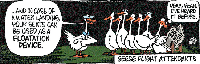 A single-panel cartoon—Mother Goose & Grimm, by Mike Peters—entitled “Geese Flight Attendants”:

A goose wearing glasses and a blue collar stands before a row of other geese facing them. “…And in case of a water landing,” the attendant goose says, “your seats can be used as a floatation device.”

A goose at the other end of the pack of spectators ignores the attendant, their attention focused on reading their copy of Goose Week. “Yeah, yeah,” this inattentive goose thinks. “I’ve heard it before…