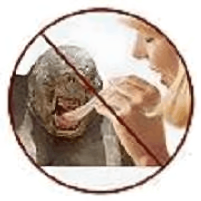 Twisted666@dobbs.town