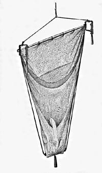 image/jpeg sketch of a bagged net hanging from a bar with a hoop opening and tied at the bottom. From HMS Challenger Expedition. Public Domain.