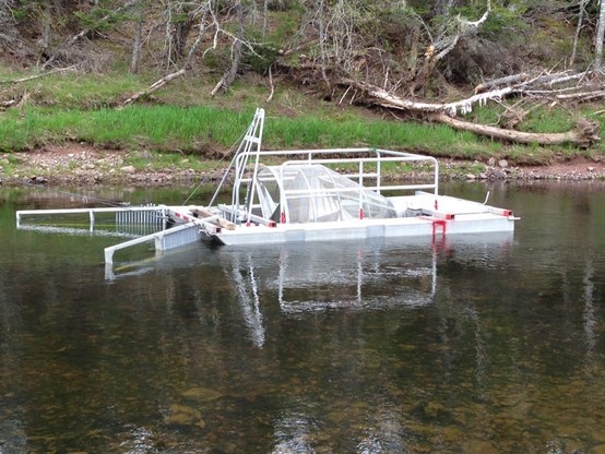 image/jpeg photo of a metal raft structure Ina shallow river with a rotating central shaft and wings that direct water into it. A smolt wheel on the Stewiacke River.
https://mikmawconservation.ca/2014/05/smolt-wheel-update-2/