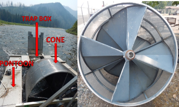 image/png a split image of a rotary screw trap. Left image shows a floating steel tube with cone, trap box and pontoon labeled. Right image is close up of fan and Archimedes screw.

https://idfg.idaho.gov/blog/2021/08/what-we-learn-screw-trap-turns