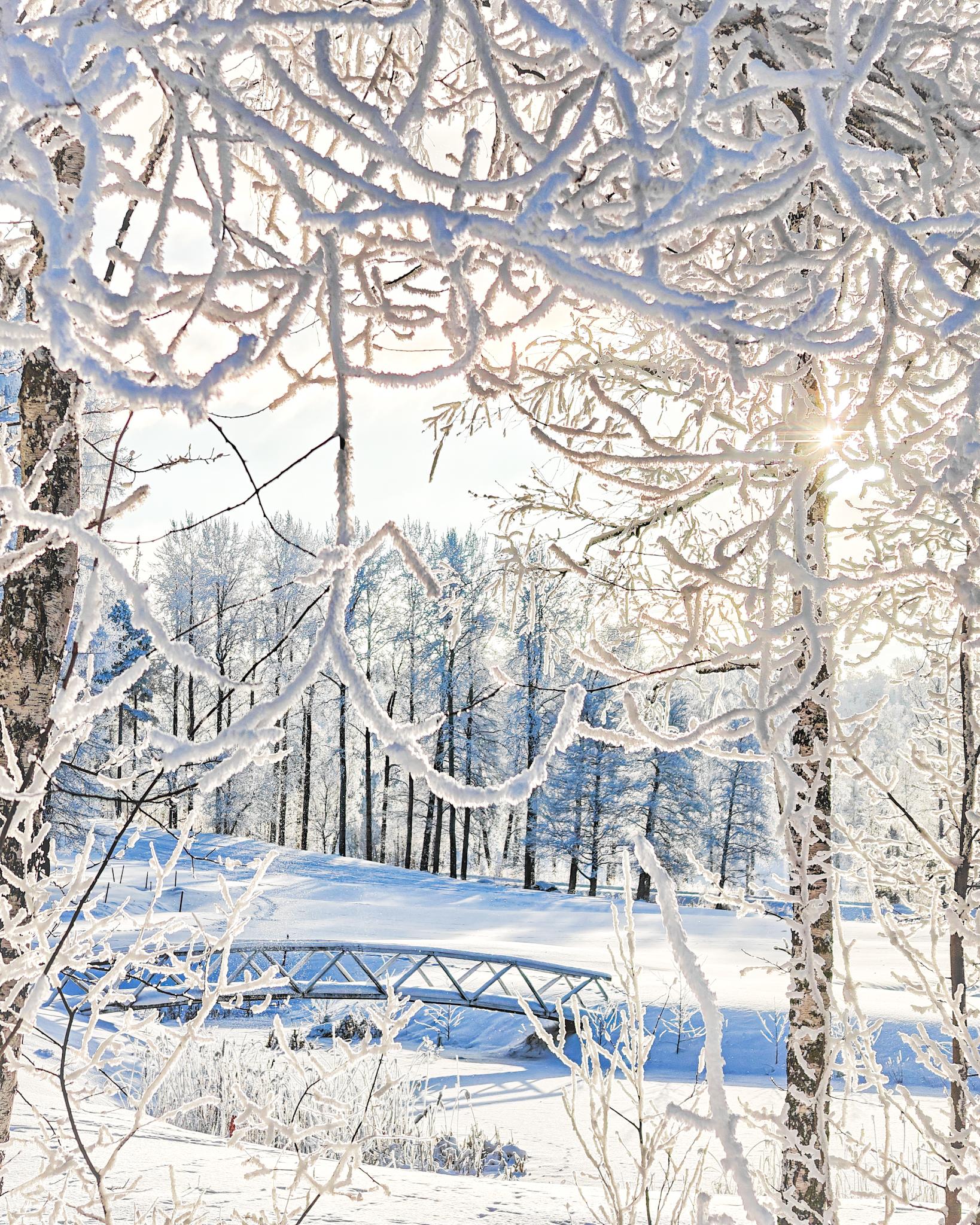 Kuurainen maisema, jossa pieni joki jonka yli menee silta. Puut ovat valkoisena kuurasta. Autinko paistaa lumisten puiden oksien takaa.