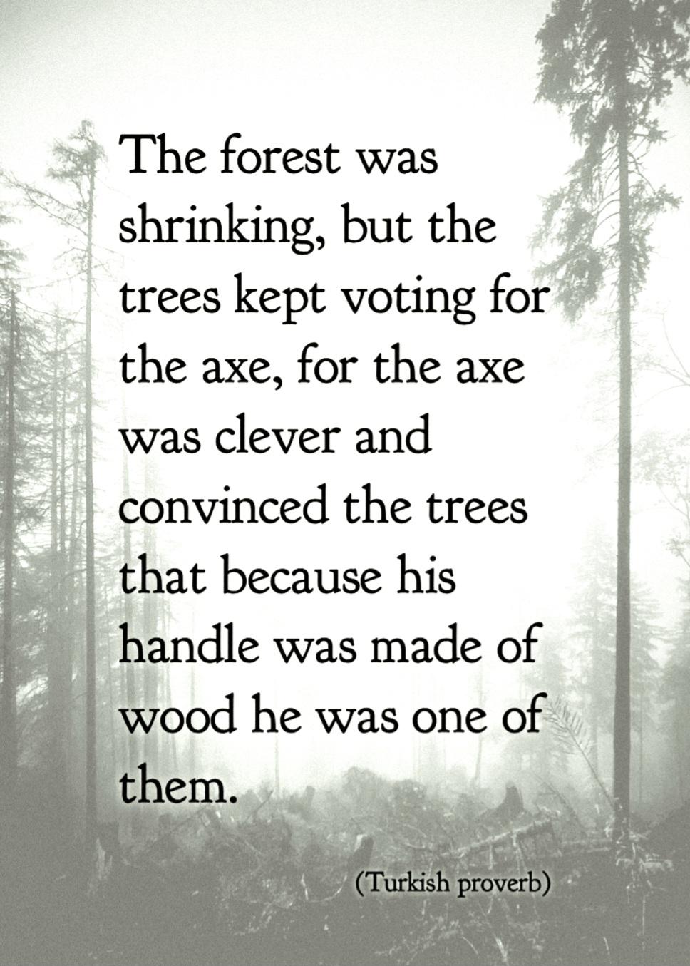 The forest was shrinking, but the trees kept voting for the axe, for the axe was clever and convinced the trees that because his handle was made of wood he was one of them.

(Turkish proverb)

Tekstin taustana haalistunut kuva hakkuuaukiosta.