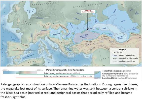 map - Paleogeographic reconstruction of late Miocene Paratethys fluctuations. During regressive phases, the megalake lost most of its surface. The remaining water was split between a central salt-lake in the Black Sea basin (marked in red) and peripheral basins that periodically refilled and became fresher (light blue)