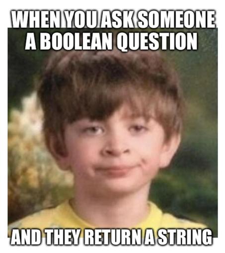 Photo of a disappointed looking Elementary School aged boy with the tag line:

"WHEN YOU ASK SOMEINE A BOOLEAN QUESTION

AND THEY RETUN A STRING"