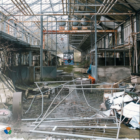 Ruine eines großen Gewächshauses, mit vielen verrosteten Metallgerüsten, im Vordergrund liegen Metallzäune, durch die Gerüste wachsen hier und da Pflanzen.