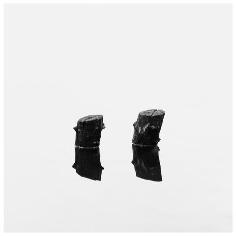 Cut tree stumps in the water with their reflections in black and white. Water is blown out to pure white.