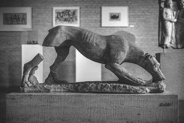 Black and white image of an ancient or classical-style sculpture of a dog, shown in a crouching position with its head lowered, as if sniffing or licking the ground. The sculpture is partially damaged, missing parts of its legs and tail, and is displayed on a pedestal in a museum gallery with framed art and other artifacts in the background.