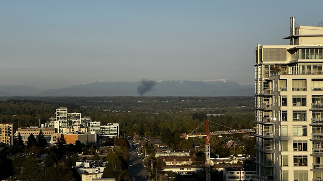 Looking up a forested valley toward a distant smoke plume.