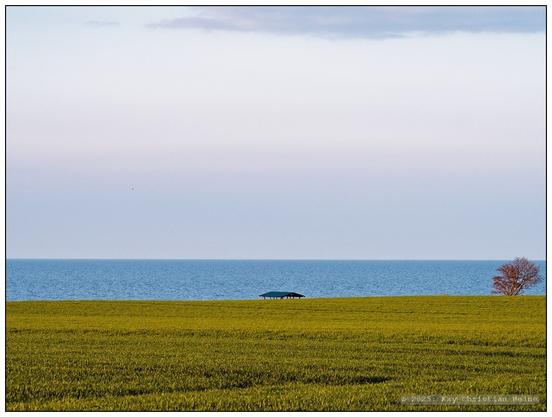 Ähnlich gestaltet wie das erste Foto dieser Reihe, der Horizont ist deutlich höher knapp unterhalb der Bildmitte angeordnet, das untere Bilddrittel nimmt im Vordergrund das frische Grün eines jungen Getreidefeldes ein, darüber ein Streifen Ostsee unter blassblauem, leicht bewölkten Himmel. Zentral und klein am Horizont ist die Dachkonstruktion einer hölzernen Schutzhütte zu sehen, am rechten Bildrand die noch kahlen Zweige eines Strauches - das war's an Bildelementen.