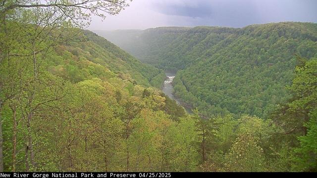 A beautiful view of the current conditions in New River Gorge National Park and Preserve. Trees on the slopes are a variety of colors: deep greens, yellows, maybe tan and rust, and one in the foreground with light blooms. The river courses through the center of the image, while the clouds above are grey and white.