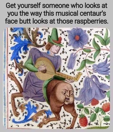 Illustrated page of a medieval manuscript with a human...deer? hybrid creature who has the human torso turned to face the back of the creature, where a greedy face exists where a butt would be expected to be.  The butt-face is eyeing some raspberries with evil intent. 
Meme text reads: 
Get yourself someone who looks at you the the way this musical centaur face butt looks at those raspberries.