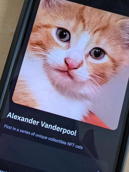 @AtanasE The image shows a smartphone screen displaying a close-up photograph of a ginger and white kitten. The kitten has large, expressive eyes and a pink nose, with a mix of orange and white fur. Below the image, there is text that reads "Alexander Vanderpool" in white font, followed by "First in a series of unique collectible NFT cats" in smaller white font. The background of the screen is dark, contrasting with the light-colored kitten image. The text indicates that this is the first in a series of unique collectible NFT cats, suggesting that the image is part of a digital collectible series.

Provided by @altbot, generated privately and locally using Ovis2-8B

🌱 Energy used: 0.164 Wh