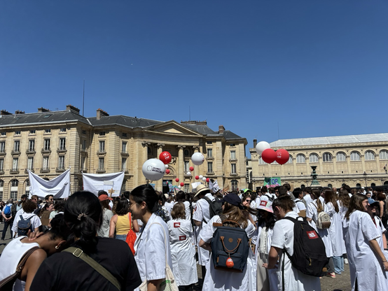 Photo de la manifestation des médecins contre la PPL dite Garot, à Paris