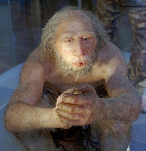 A new study suggests Neanderthals could not adapt to a period of increased radiation as well as early modern humans did