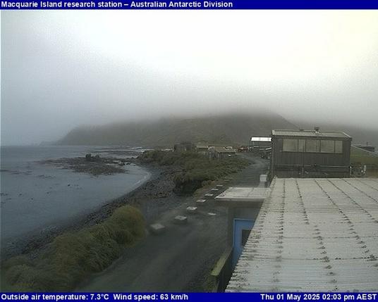 View from the Macquarie Island station.
