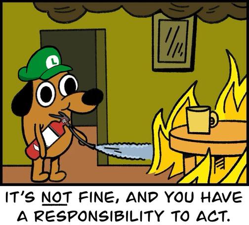 A corruption of the "this is fine " dog meme. Rather than sitting and lying to himself, the dog has donned a Luigi hat from Mario brothers and picked up a fire extinguisher to combat the fire in his home. The bottom text reads " It's NOT fine, and you have a responsibility to act."