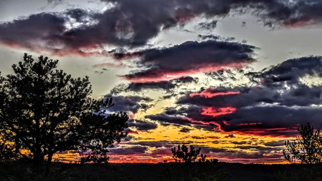 This picture is mostly sky. The silhouetted crest of a low ridge frames the bottom, a silhouetted pine tree frames the left side. The tops of 2 other trees barely poke into the frame. The rest of the frame is a pale blue gray sky with dark purple gray clouds drifting past. Those just above the horizon have streaks of dark orange against the purple-gray, the rest have streaks of bright pink.