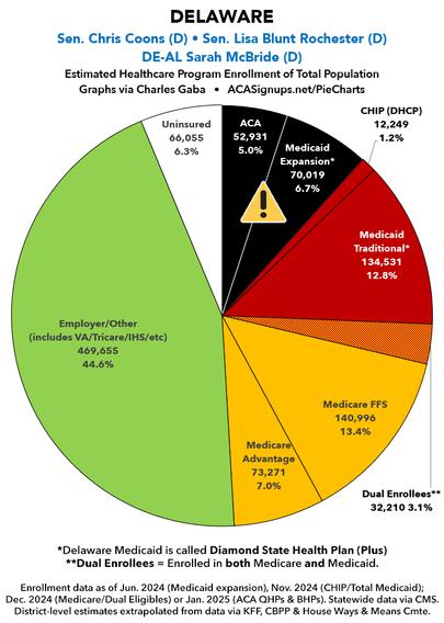 Delaware: Breakout of healthcare enrollment for total population