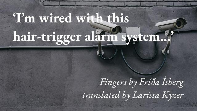 Two security cameras peer down from a grey wall, with a quote from Fríða Ísberg's story Fingers, translated by Larissa Kyzer: 'I’m wired with this hair-trigger alarm system…'