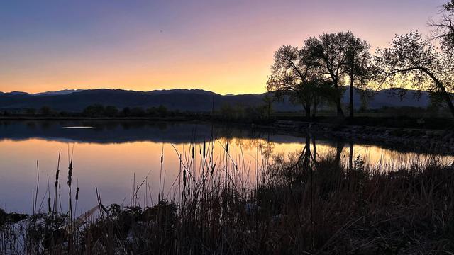 Another view of a small lake at dusk, with the silhouettes of a few trees, cattails, and marsh grasses at the edge of the lake, plus distant mountains against the golden-orange gradient of the clear evening skies, with one tiny ripple in the lake from a feeding, surfacing fish.