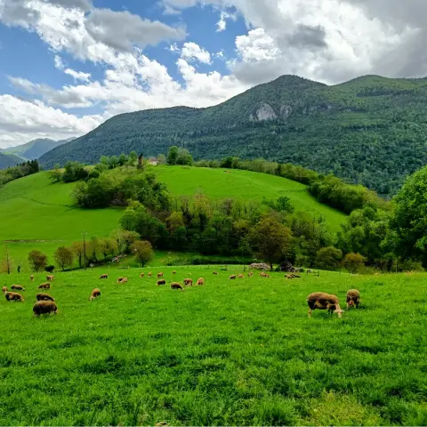 De Asson à Arudy