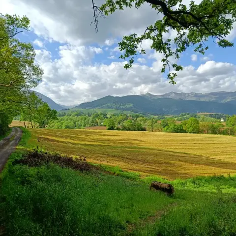 De Asson à Arudy
