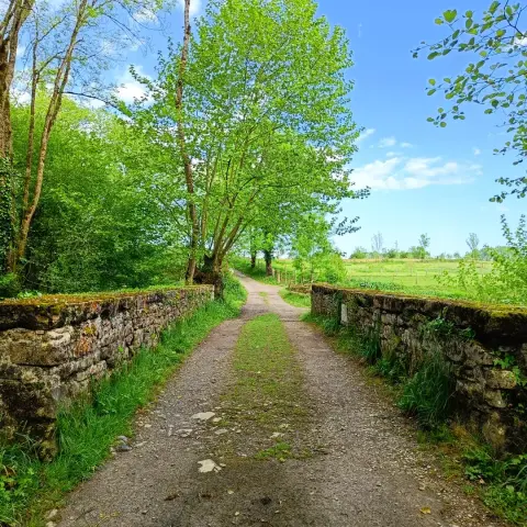 De Asson à Arudy