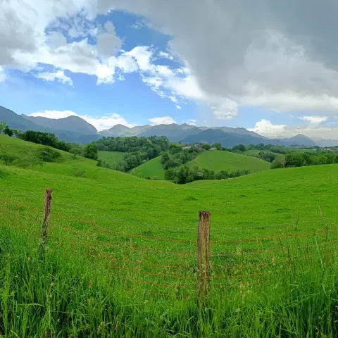 De Asson à Arudy