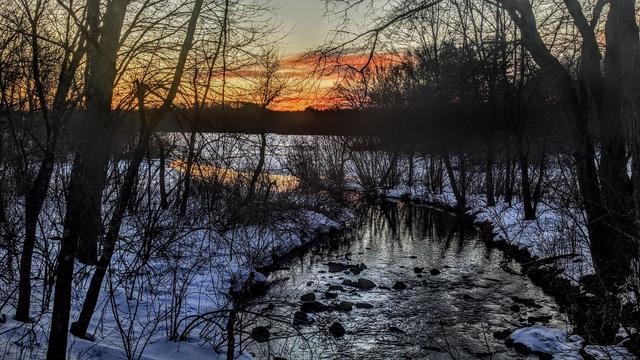 Beneath a partly cloudy sky the sun is setting behind the leafless trees of a winter hardwood forest. An inch or two of fresh wet snow covers the ground. A thick underbrush of leafless shrubs pokes out of the snow. A small, unfrozen stream filled with partially-submerged rocks runs through the middle of the forest, emptying into a large snow-covered mostly frozen lake beyond the trees. The pale blue gray sky has some streaky, hazy clouds tinted orange and gold along the horizon.