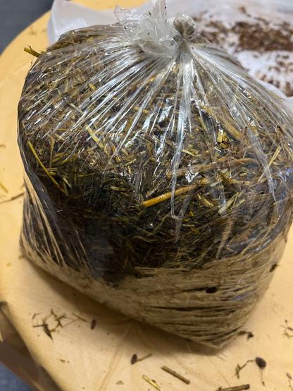 A plastic bag with holes damp with straw