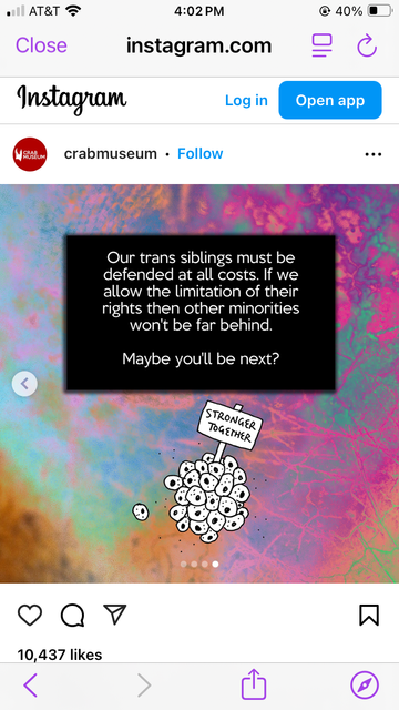 text block:  Our trans siblings must be defended at all costs. If we allow the limitation of their rights then other minorities won't be far behind.
Maybe you'll be next?

followed by an image with what may be a bunch of cells holding a sign that says Stronger Together