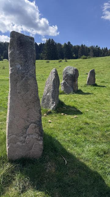 A photo of four standing stones on a sunny mountain meadow. A line of conifer trees is visible on the horizon, under a blue sky with a few clouds.