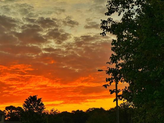The image depicts a vibrant sunset sky with a gradient of colors ranging from deep orange to lighter yellow and gray. The clouds are scattered across the sky, with some appearing darker due to the backlighting from the setting sun. The foreground features silhouettes of trees and a street lamp, providing a contrast to the bright sky. The trees are lush and green, with leaves that are clearly visible against the colorful backdrop. The street lamp is positioned on the right side of the image, adding a vertical element to the composition. The overall scene is serene and captures the beauty of a sunset in a natural setting.