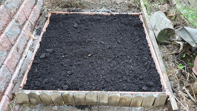 a meter by meter plot of land converted into a raised planting bed.